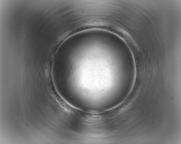 X0000069400833200605121213