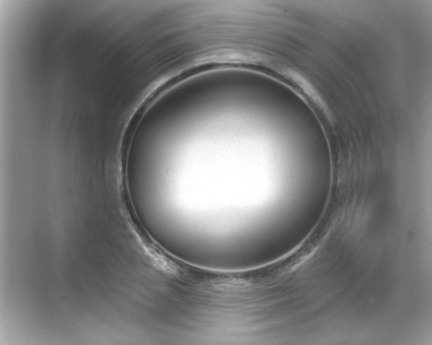 X0000069400837200605121213
