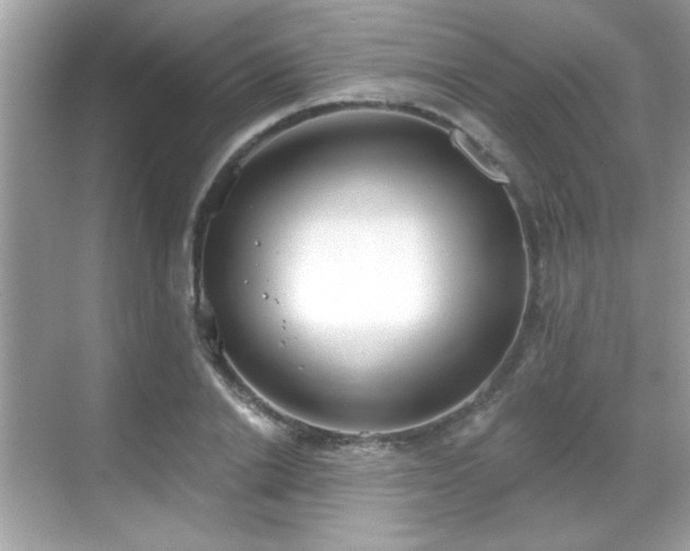 X0000069400838200605121213