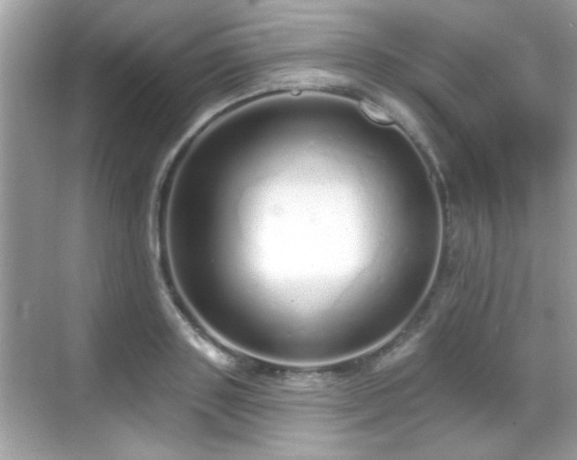 X0000069400843200605121213