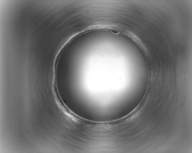 X0000069400844200605121213