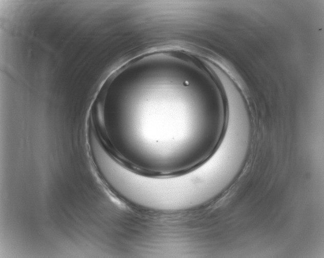 X0000069400858200605121213