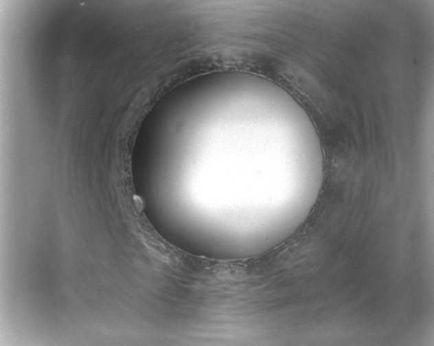 X0000069400865200605121213