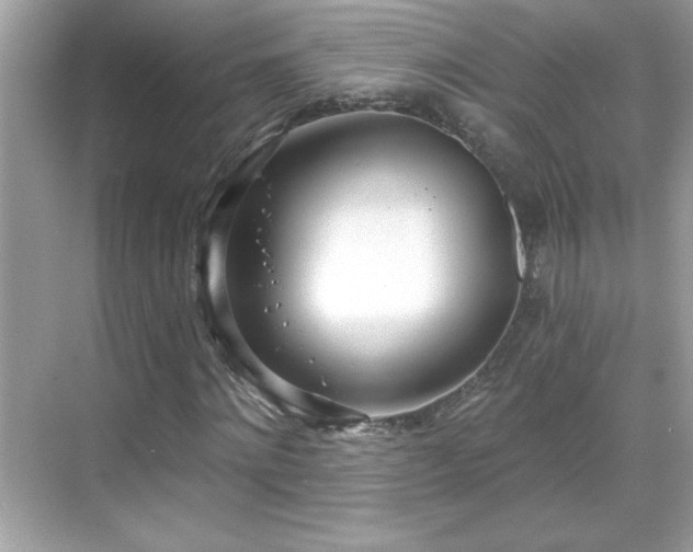 X0000069400868200605121213