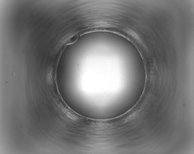 X0000069400873200605121213