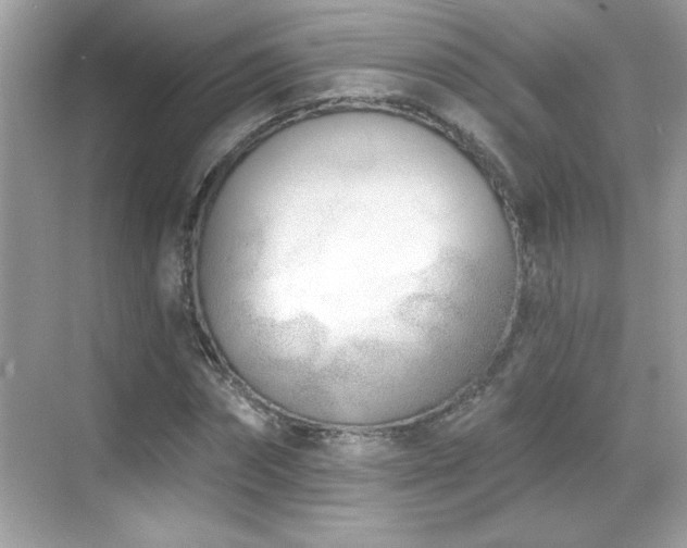 X0000069400874200605121213
