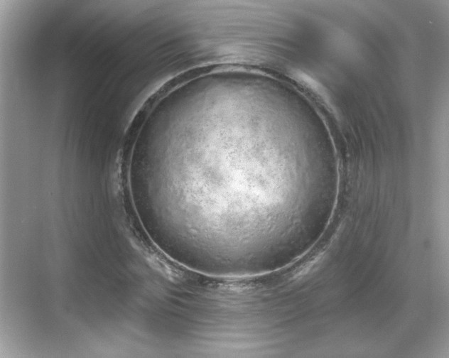 X0000069400875200605121212