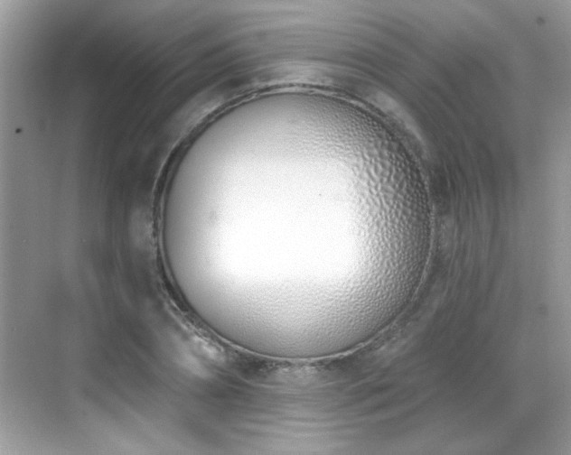 X0000069400882200605121212