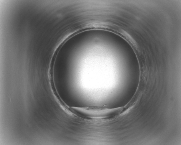 X0000069400893200605121212
