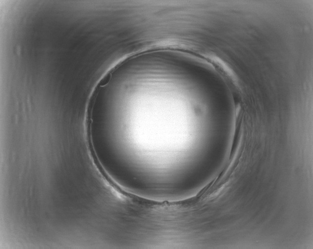 X0000069400902200605121212
