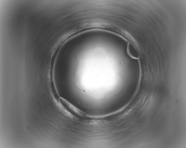 X0000069400938200605121211