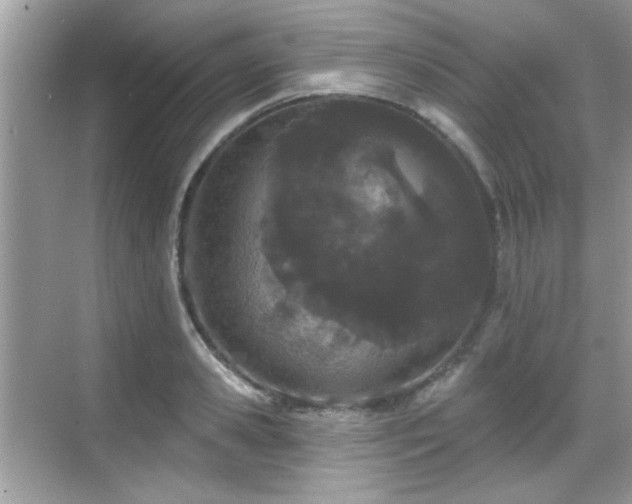 X0000069400941200605121212