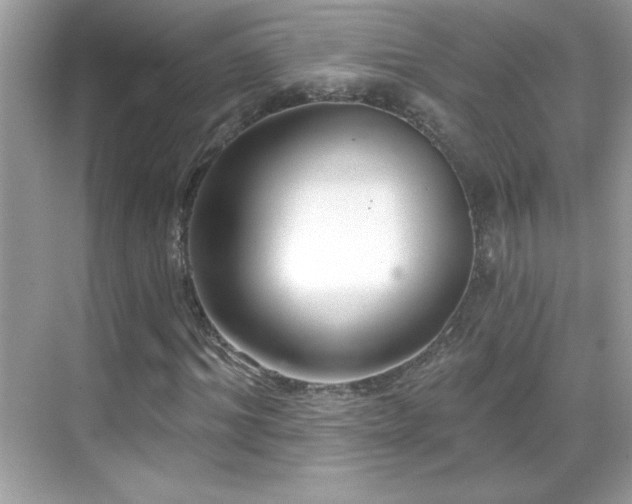 X0000069400964200605121211
