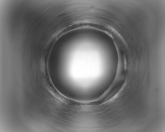 X0000069400969200605121211