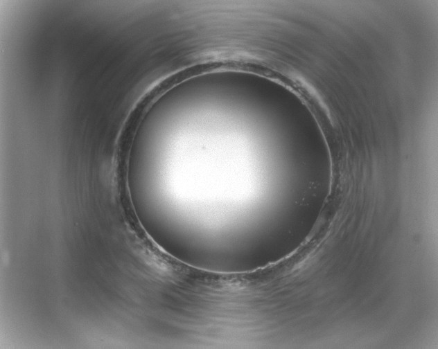 X0000069400975200605121211