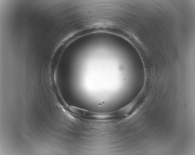 X0000069401018200605121210