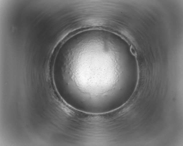 X0000069401023200605121210