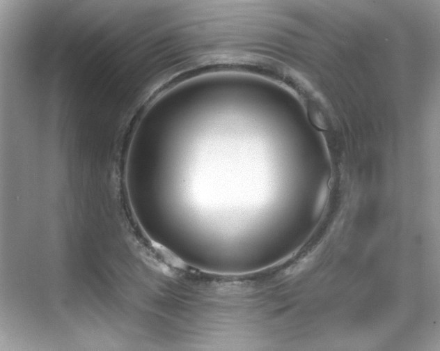 X0000069401025200605121210