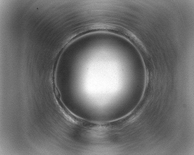 X0000069401033200605121210