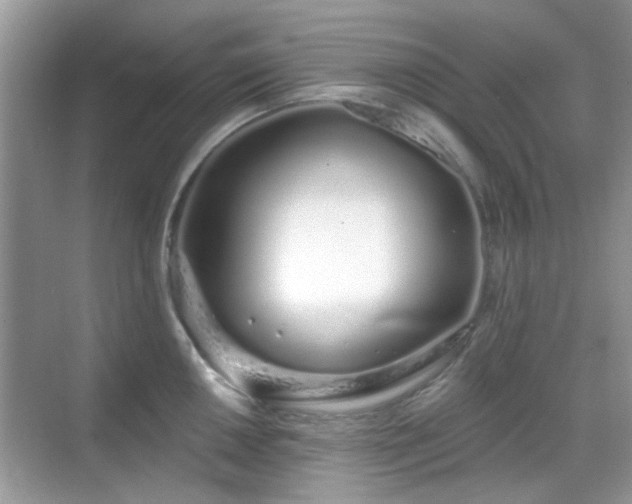 X0000069401050200605121210