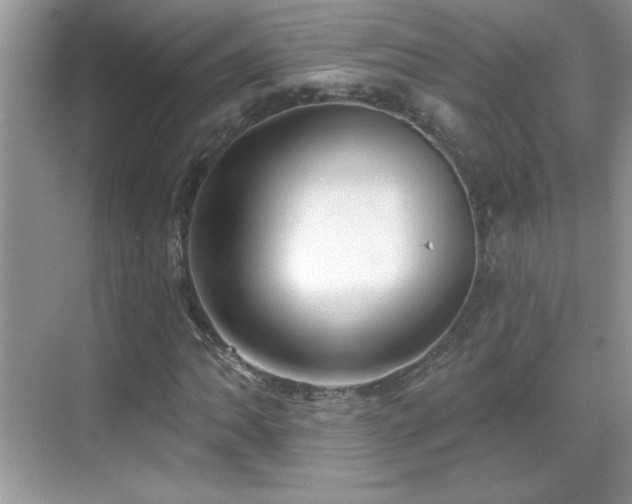 X0000069401062200605121209
