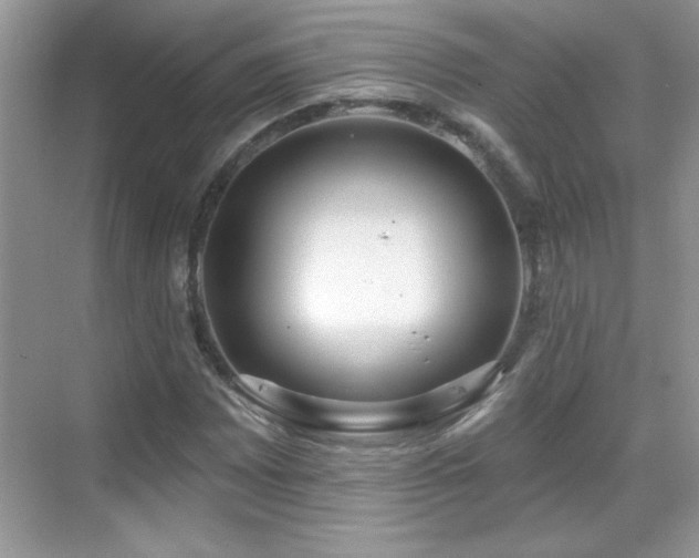 X0000069401065200605121209