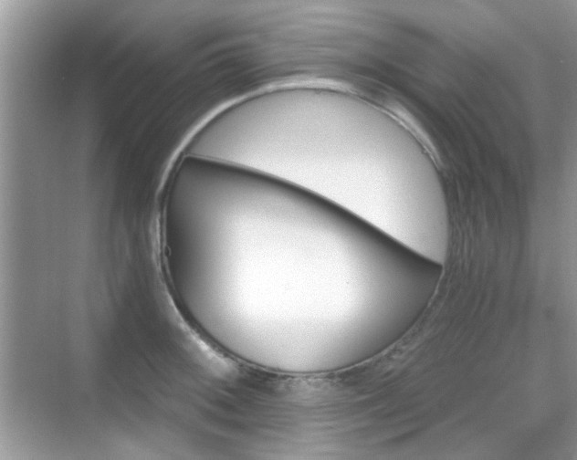 X0000069401092200605121209