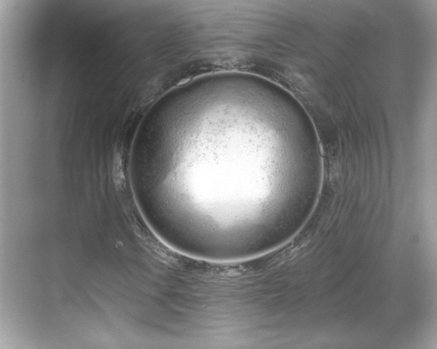 X0000069401106200605121208