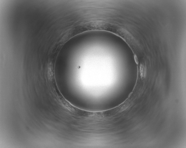 X0000069401107200605121208
