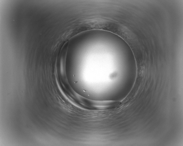 X0000069401108200605121208
