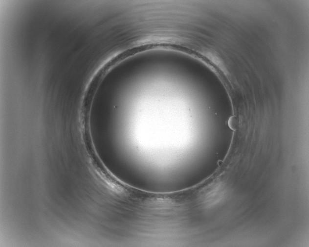 X0000069401119200605121208