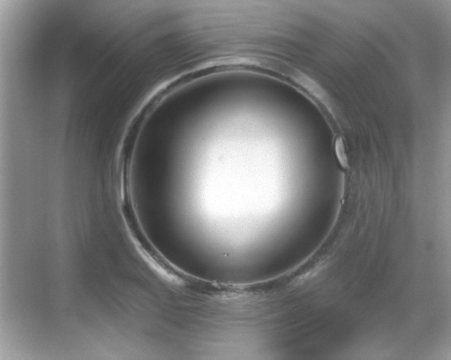 X0000069401127200605121208