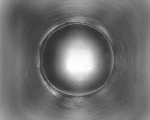 X0000069401131200605121208