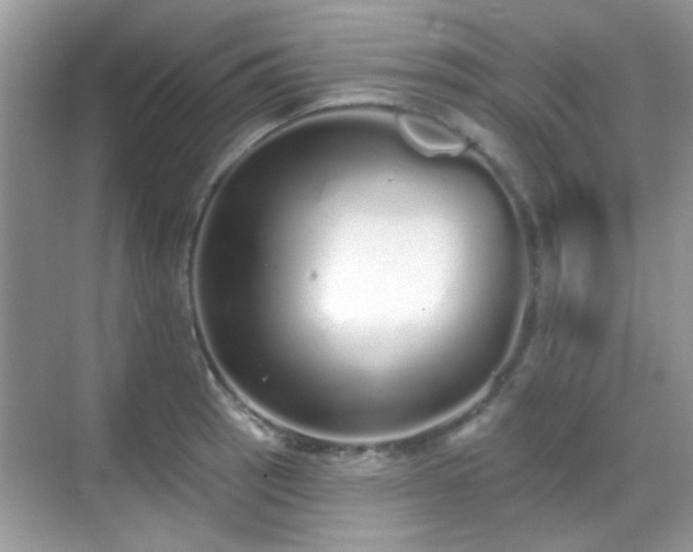 X0000069401137200605121208