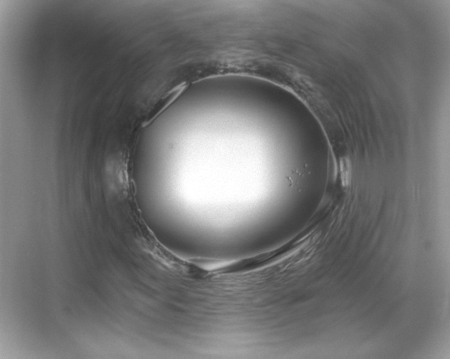 X0000069401155200605121208