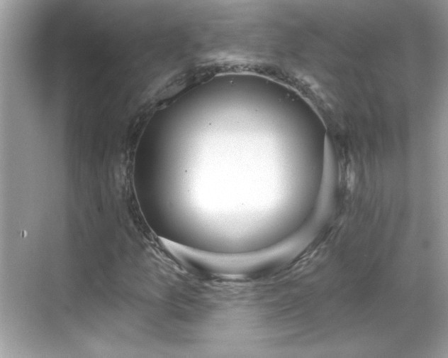 X0000069401157200605121208