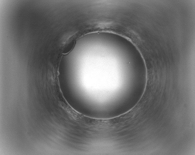 X0000069401158200605121208