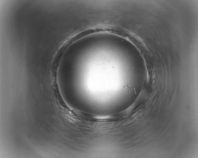 X0000069401160200605121208