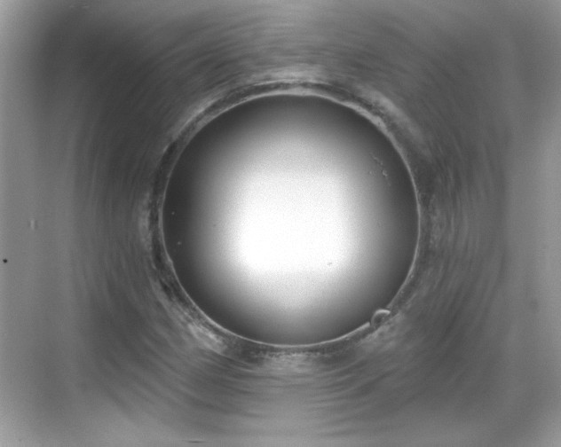 X0000069401162200605121208