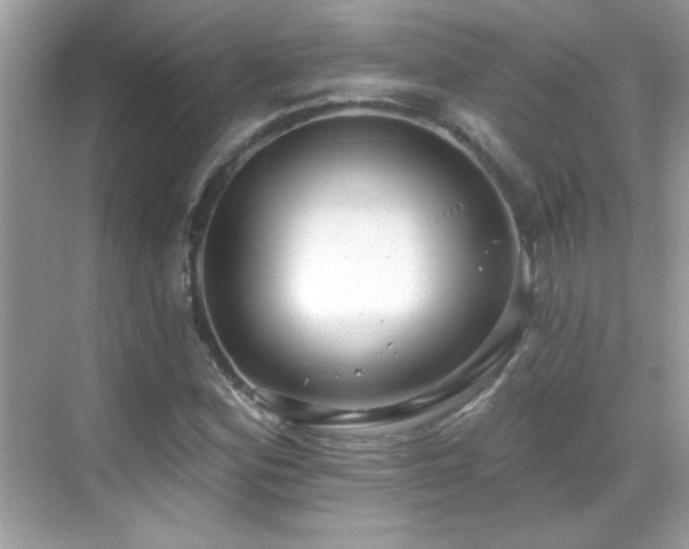 X0000069401164200605121208