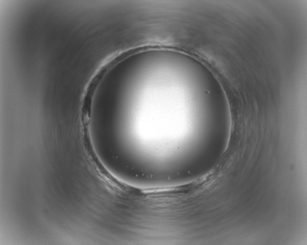 X0000069401168200605121208