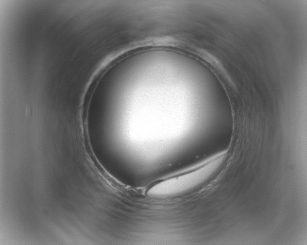 X0000069401176200605121207