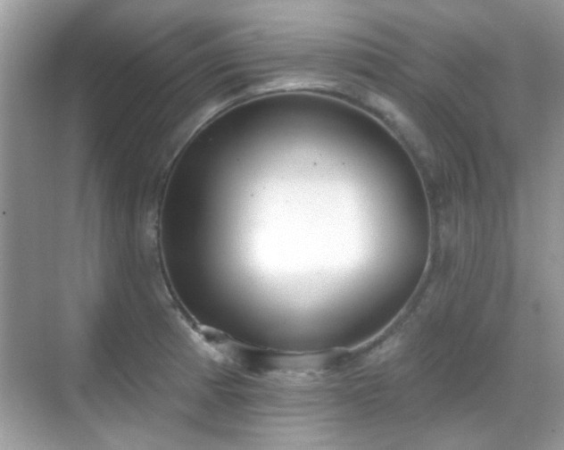 X0000069401185200605121207