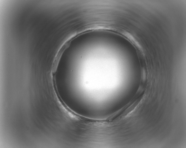 X0000069401189200605121207