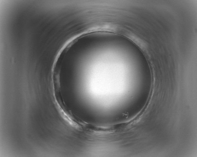 X0000069401200200605121207