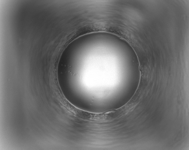 X0000069401201200605121206