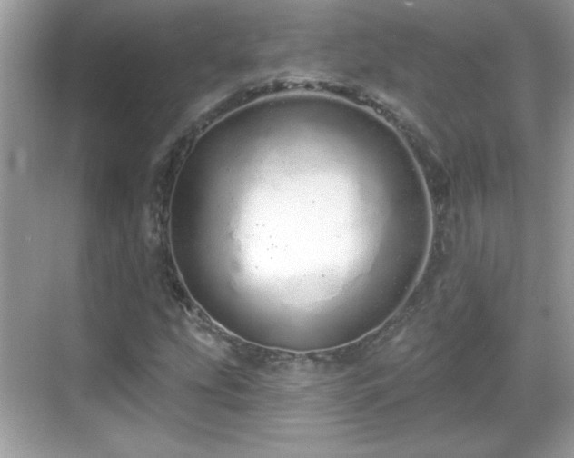 X0000069401207200605121206