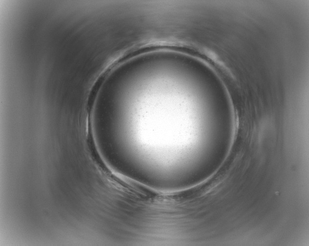X0000069401221200605121207