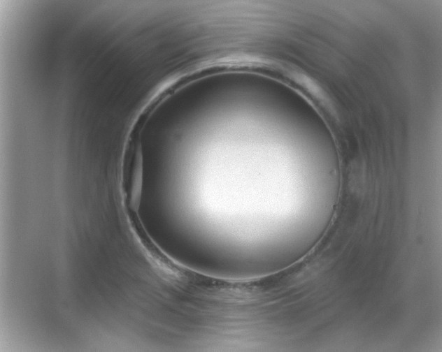 X0000069401229200605121207