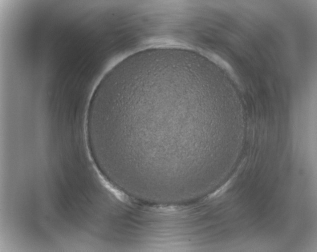 X0000069401231200605121207